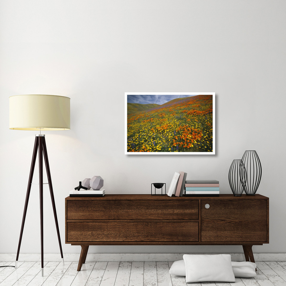 Hills covered with California Poppies and Lupine Tehachapi Mountains, California-Paper Art-38&quotx26"