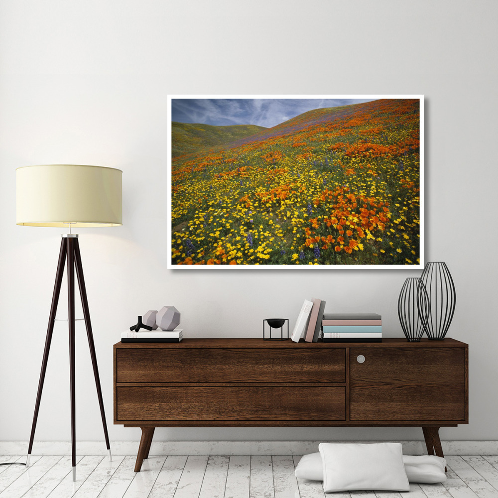 Hills covered with California Poppies and Lupine Tehachapi Mountains, California-Paper Art-62&quotx42"