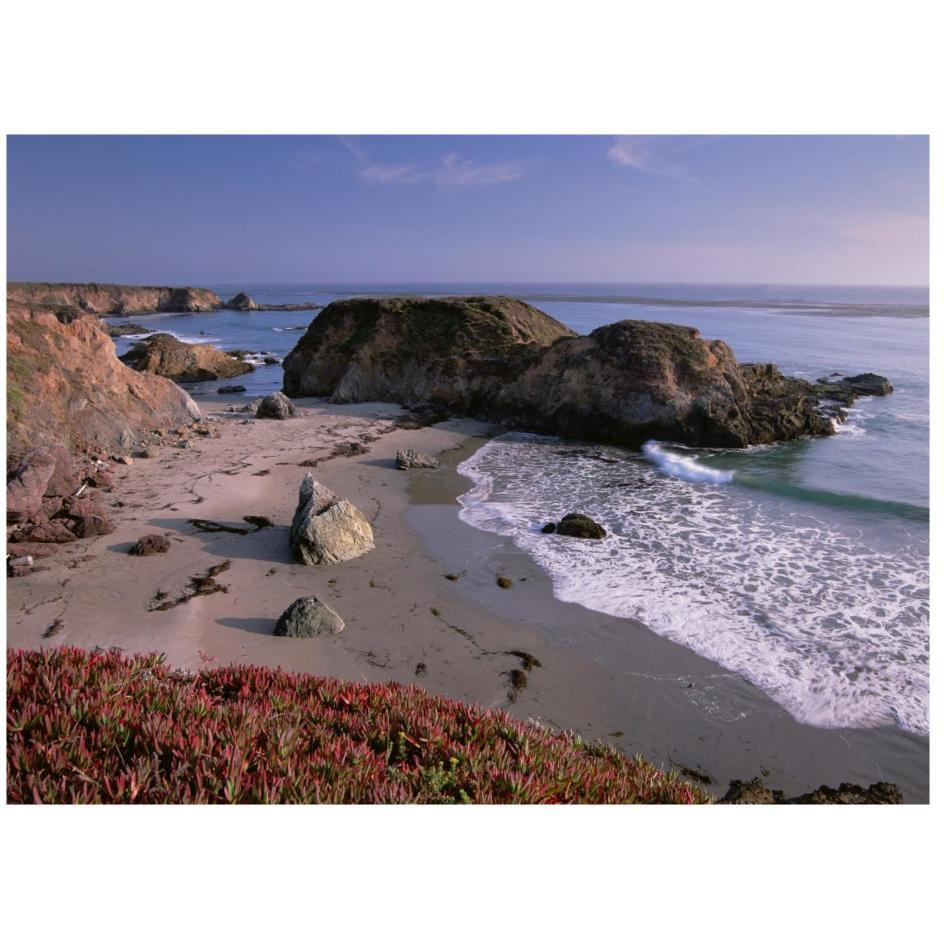 Beach near San Simeon Creek with ice plant in the foreground, Big Sur, California-Paper Art-26&quotx20"