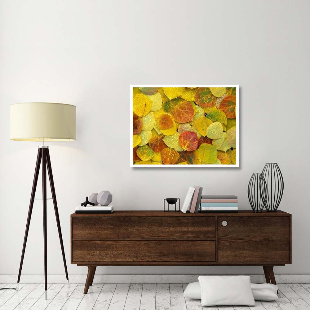 Fallen autumn colored Aspen leaves on the ground covered in dew droplets, Colorado-Paper Art-42&quotx32"