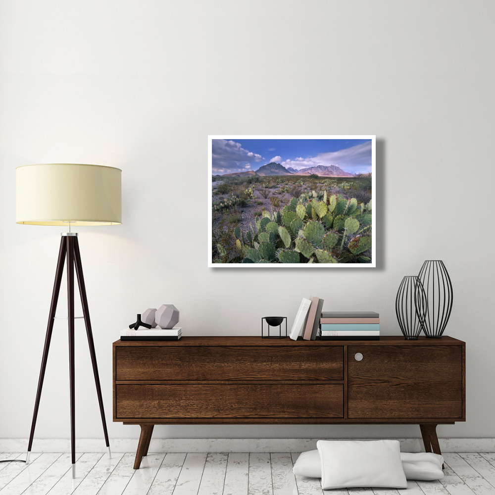 Opuntia cactus, Chisos Mountains, Big Bend National Park, Chihuahuan Desert, Texas-Paper Art-42&quotx32"