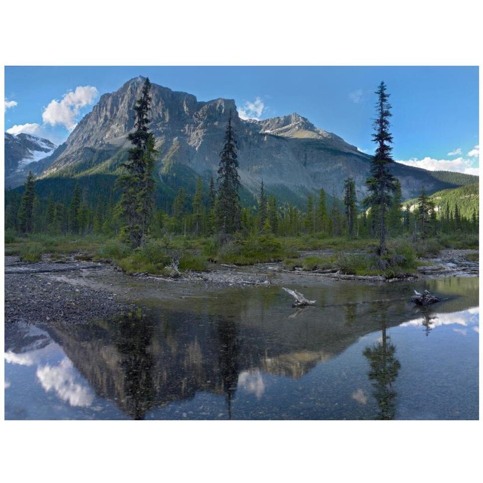 Michael Peak reflection, Emerald Lake, Yoho National Park, British Columbia, Canada-Paper Art-42&quotx32"