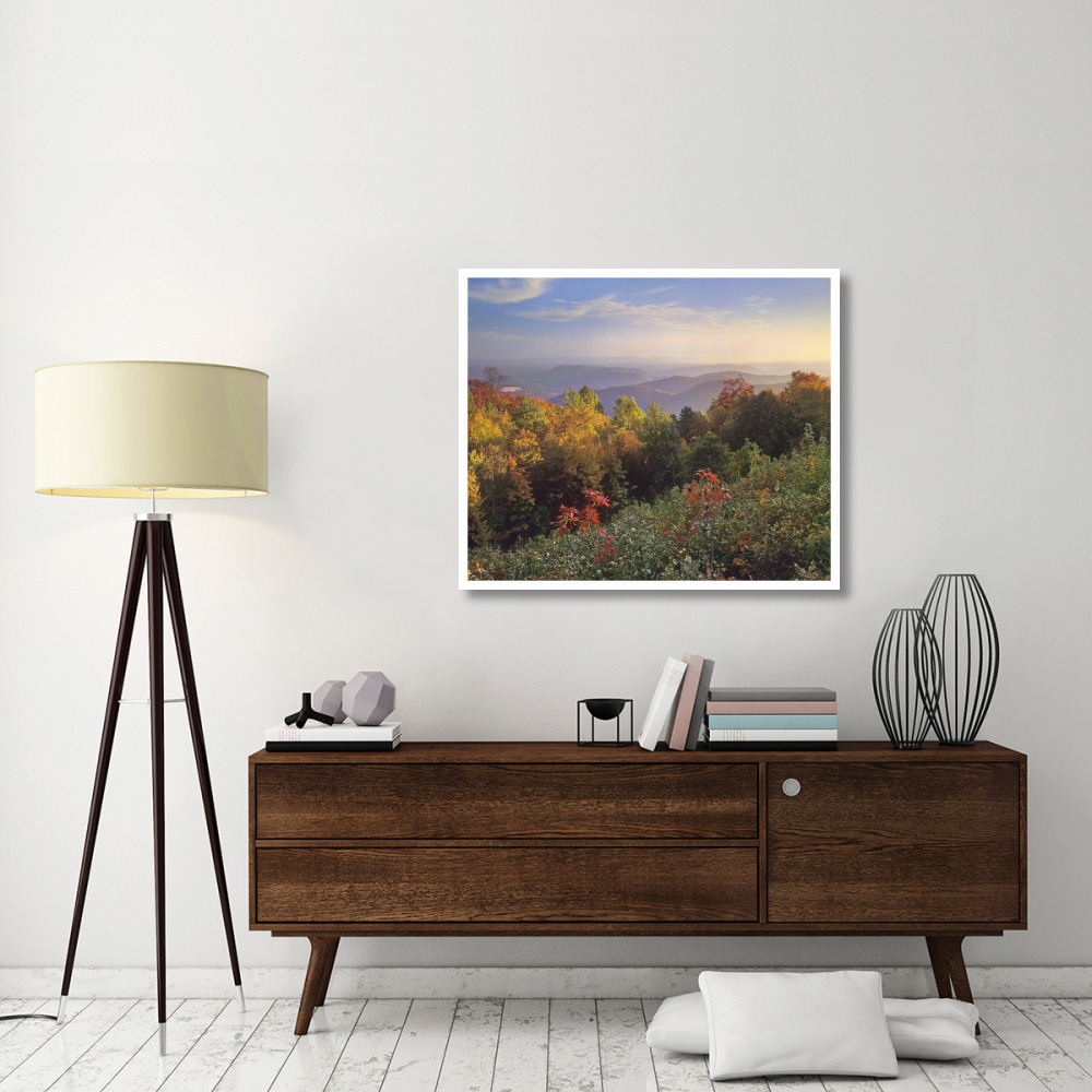 Deciduous forest in autumn, Blue Ridge Mountains from Doughton Park, North Carolina-Paper Art-42&quotx35.2"