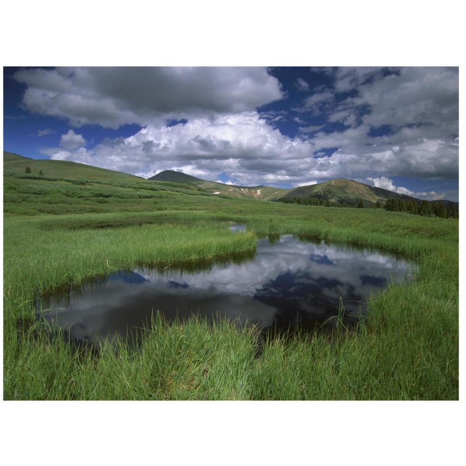 Cumulus clouds reflected in pond at Guanella Pass, Arapaho National Forest, Colorado-Paper Art-26&quotx20"