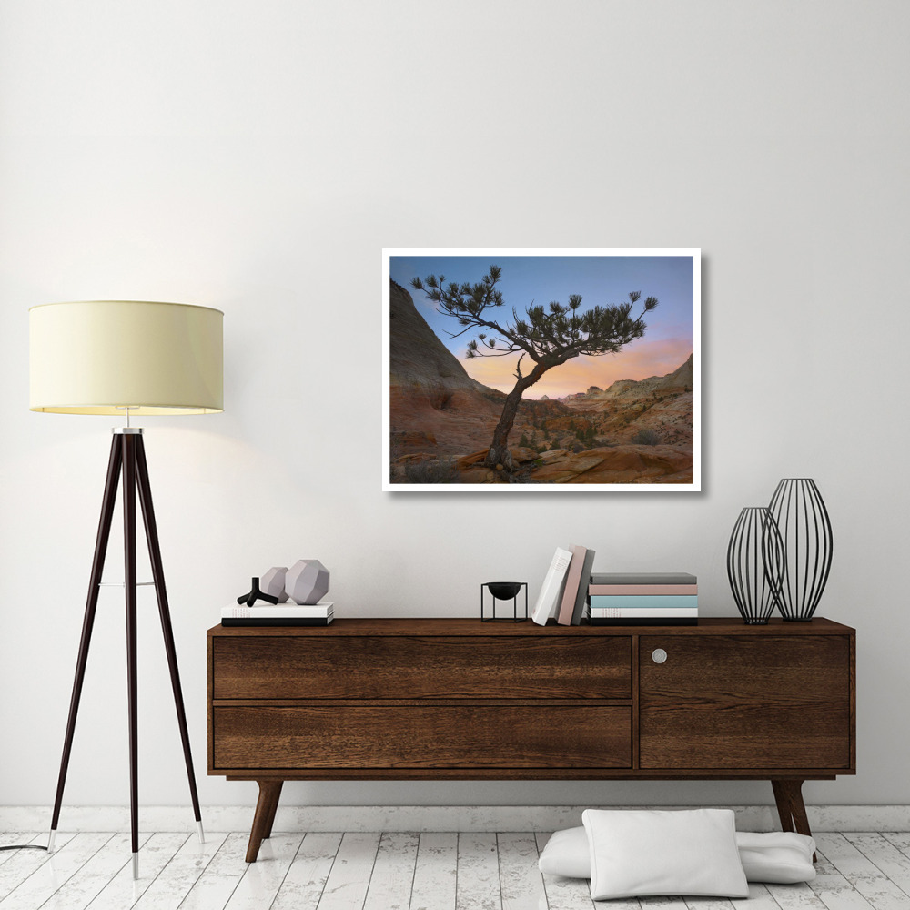 Lone pine tree with East and West Temples in the background, Zion National Park, Utah-Paper Art-42&quotx32"