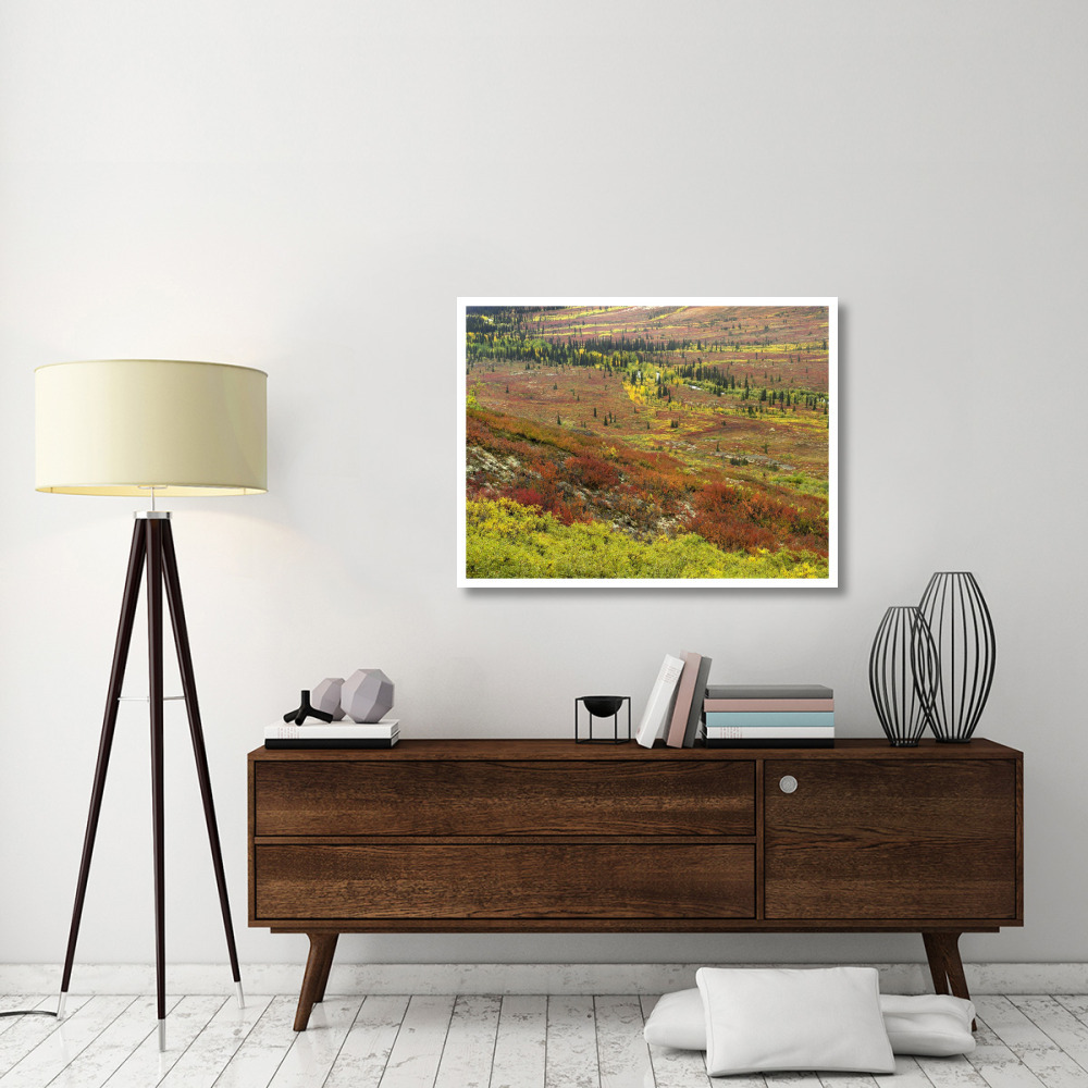 Autumn tundra with boreal forest, Tombstone Territorial Park, Yukon Territory, Canada-Paper Art-42&quotx32"