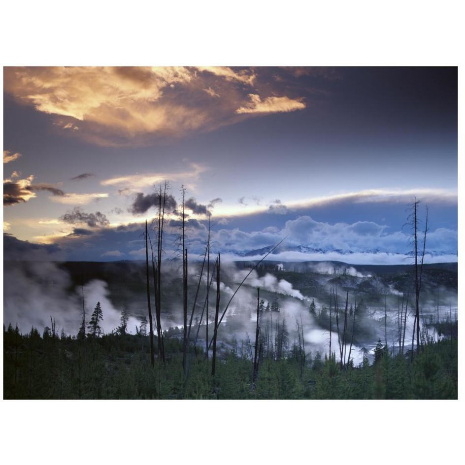 Norris Geyser basin with steam plumes from geysers, Yellowstone National Park, Wyoming-Paper Art-26&quotx20"