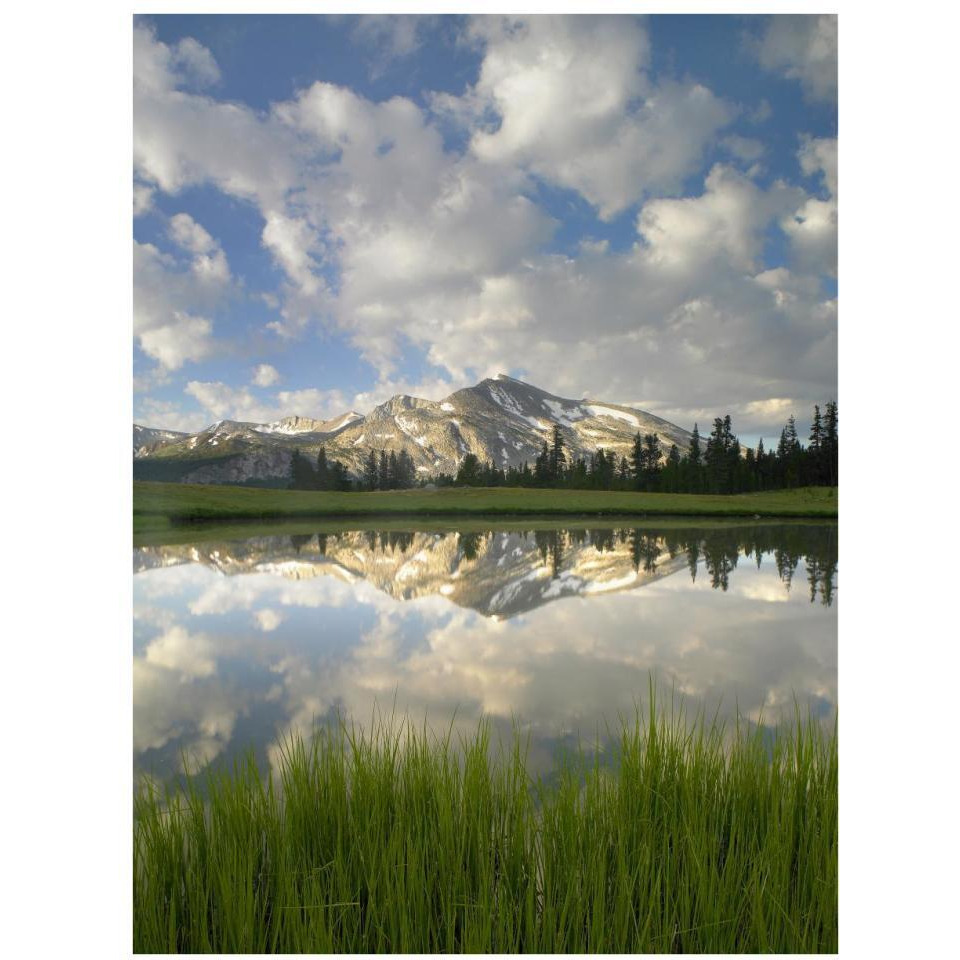 Mammoth Peak and scattered clouds reflected in lake, Yosemite National Park, California-Paper Art-26&quotx34"