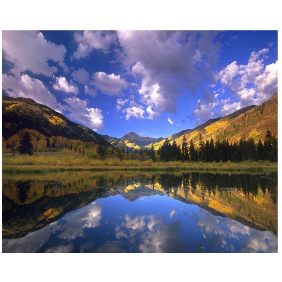 Haystack Mountain reflected in beaver pond, Maroon Bells, Snowmass Wilderness, Colorado-Paper Art-26&quotx22"