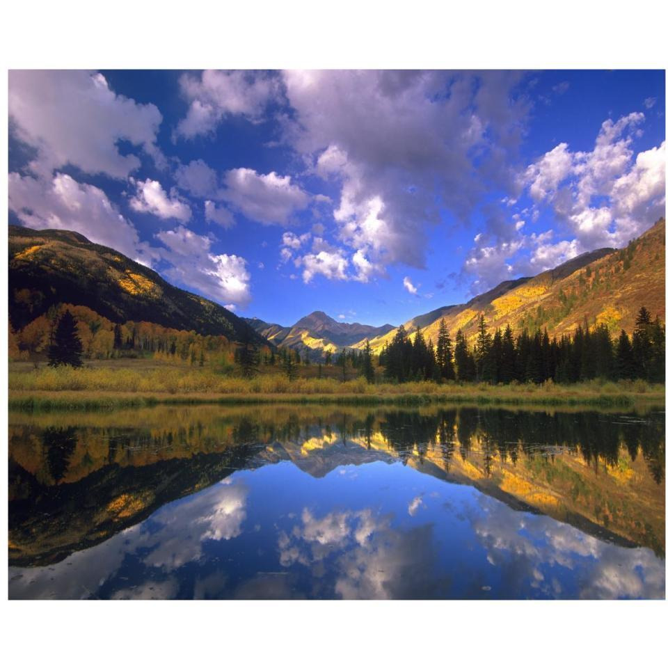 Haystack Mountain reflected in beaver pond, Maroon Bells, Snowmass Wilderness, Colorado-Paper Art-37&quotx30"