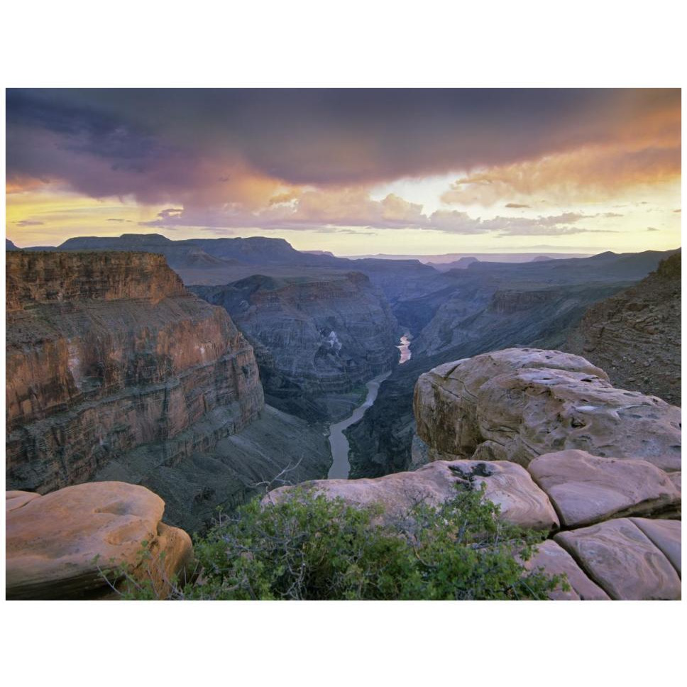 Toroweap Overlook with a view of the Colorado River, Grand Canyon National Park, Arizona-Paper Art-42&quotx32"