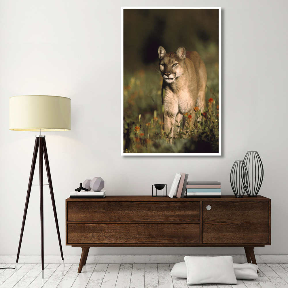 Mountain Lion or Cougar walking through a field of red Paintbrush flowers, North America-Paper Art-42&quotx62"