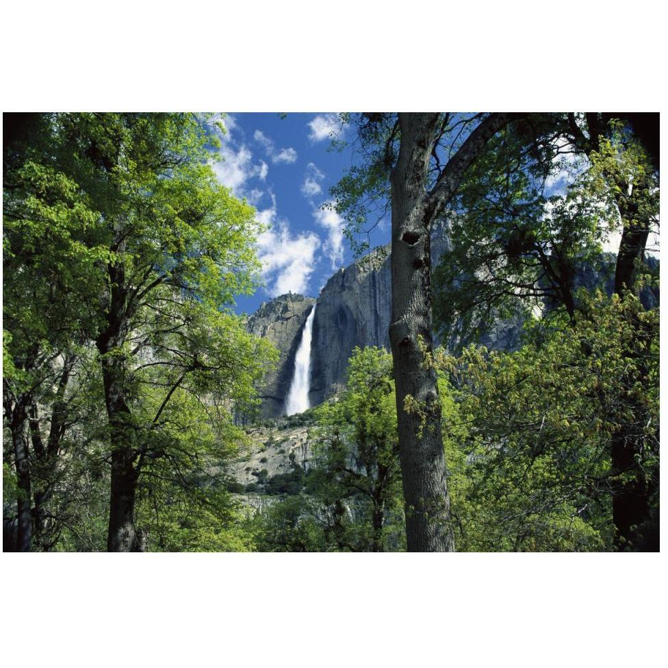 Bridal Veil Falls tumble 620 feet to the valley floor, Yosemite National Park, California-Paper Art-50&quotx34"