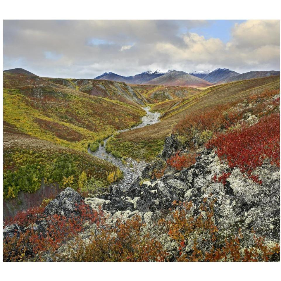 River flowing through tundra, Ogilvie Mountains, Tombstone Territorial Park, Yukon, Canada-Paper Art-38&quotx33.68"