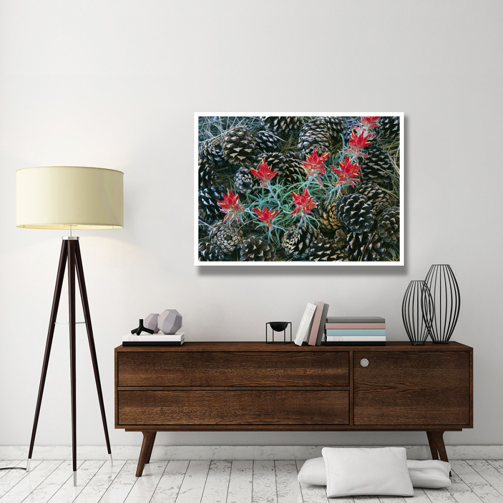 Indian Paintbrush surrounded by pine cones, South Rim, Grand Canyon National Park, Arizona-Paper Art-50&quotx38"