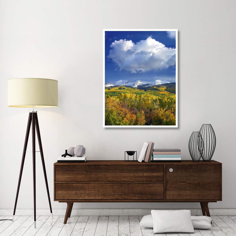 East Beckwith Mountain flanked by fall colored Aspen forests under cumulus clouds, Colorado-Paper Art-38&quotx50"