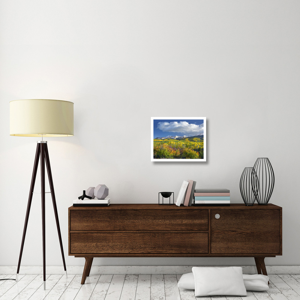 East Beckwith Mountain flanked by fall colored Aspen forests under cumulus clouds, Colorado-Paper Art-22&quotx18"