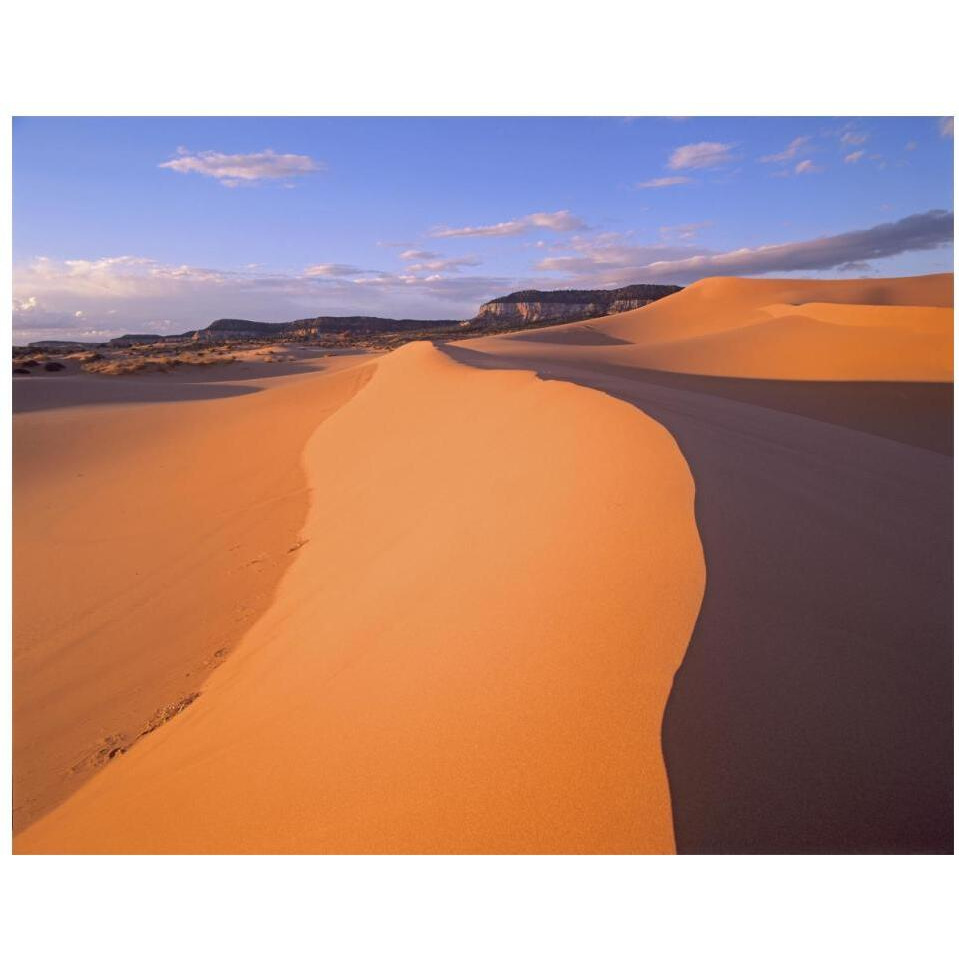 Wind ripples in sand dunes beneath sandstone cliffs, Coral Pink Sand Dunes State Park, Utah-Paper Art-18&quotx14"