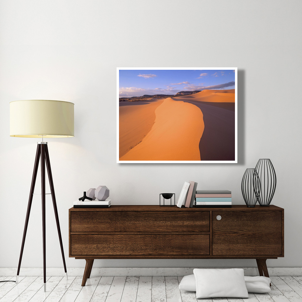 Wind ripples in sand dunes beneath sandstone cliffs, Coral Pink Sand Dunes State Park, Utah-Paper Art-50&quotx38"