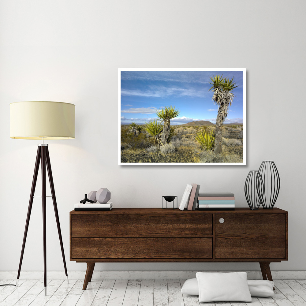 Cinder Cones, Joshua Tree and other desert vegetation, Mojave National Preserve, California-Paper Art-50&quotx38"