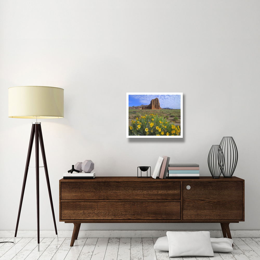 Temple of the Sun with Common Sunflowers in the foreground, Capitol Reef National Park, Utah-Paper Art-26&quotx22"