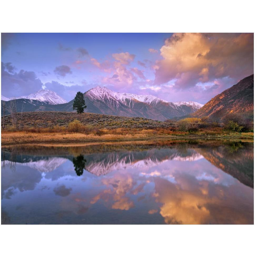 La Plata and Twin Peaks in the Sawatch Range reflected in Twin Lakes with a lone tree, Colorado-Paper Art-50&quotx38"