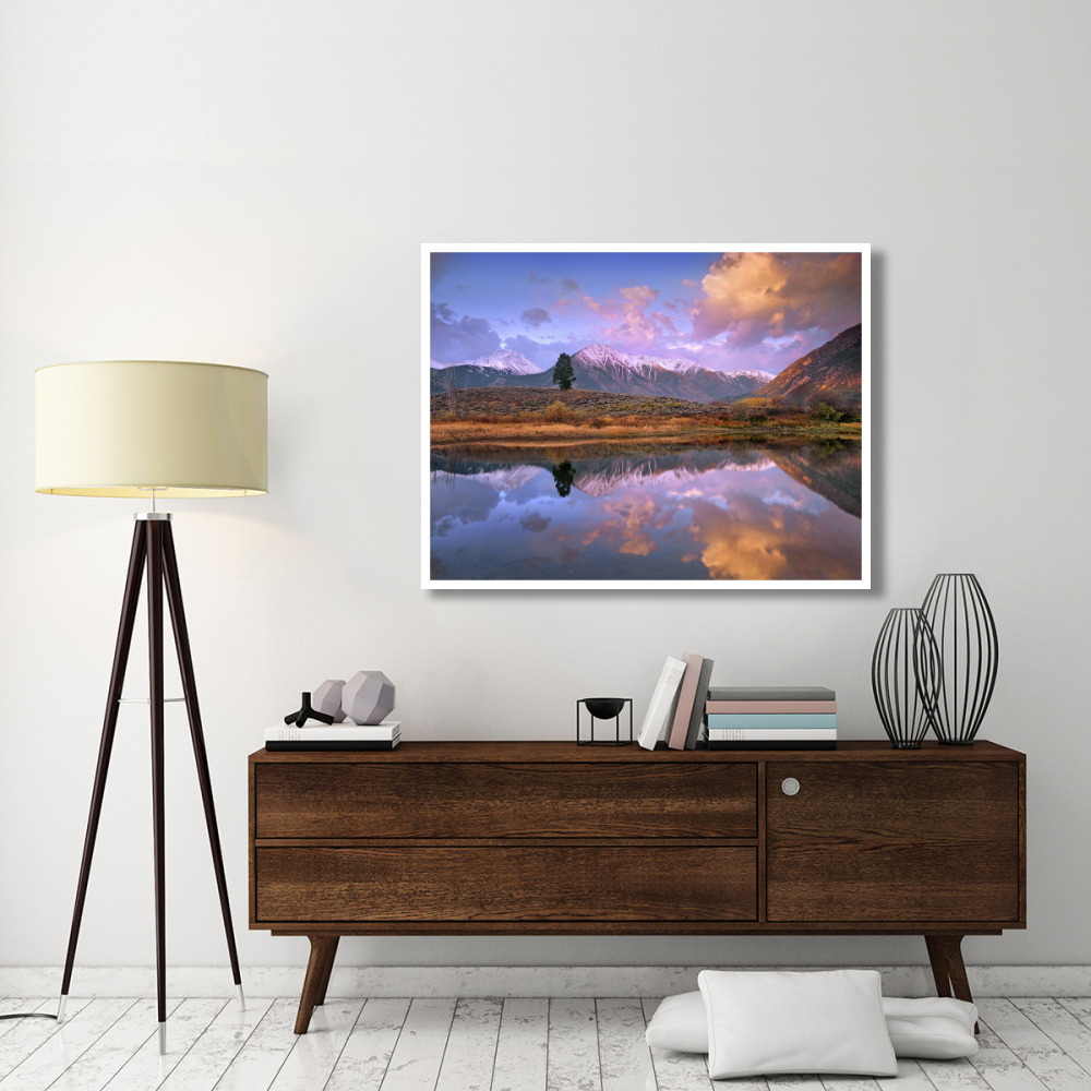 La Plata and Twin Peaks in the Sawatch Range reflected in Twin Lakes with a lone tree, Colorado-Paper Art-50&quotx38"