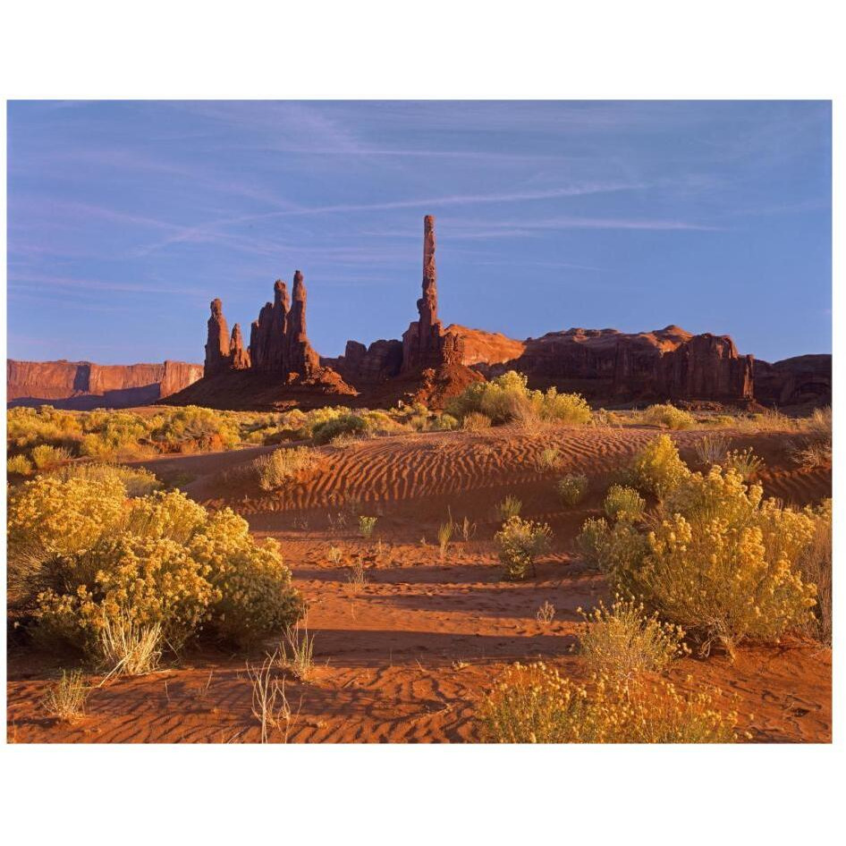 Totem Pole and Yei Bi Chei with sand dunes and shrubs, Monument Valley, Arizona and Utah border-Paper Art-26&quotx20"