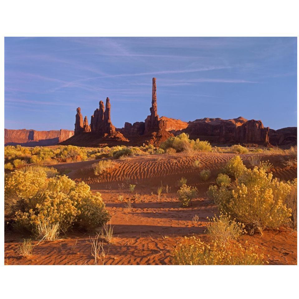 Totem Pole and Yei Bi Chei with sand dunes and shrubs, Monument Valley, Arizona and Utah border-Paper Art-34&quotx26"