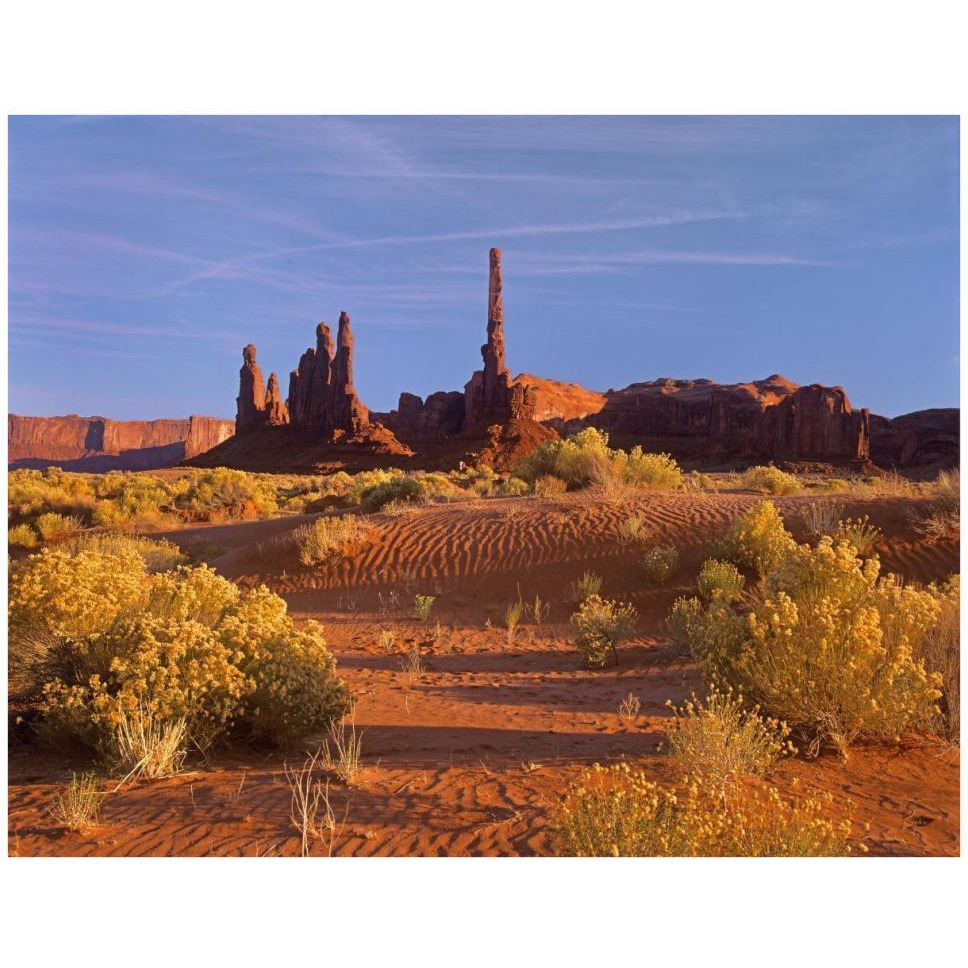 Totem Pole and Yei Bi Chei with sand dunes and shrubs, Monument Valley, Arizona and Utah border-Paper Art-42&quotx32"