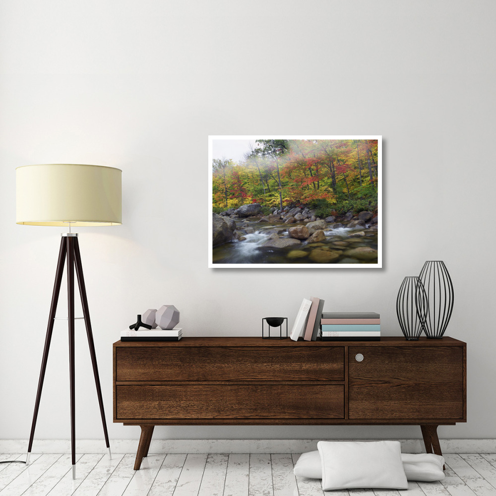 Swift River flowing through fall colored forest, White Mountains National Forest, New Hampshire-Paper Art-42&quotx32"