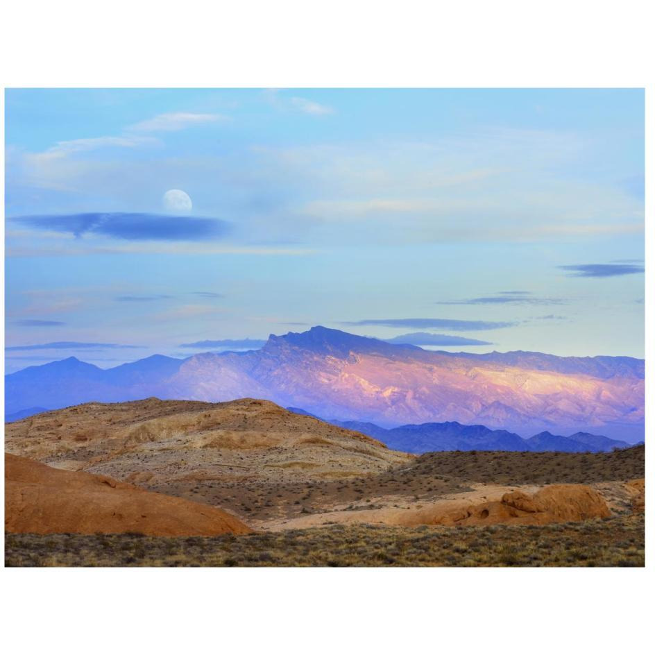 Sunset lighting up mountains under a full moon in Valley of Fire State Park, Mojave Desert, Nevada-Paper Art-26&quotx20"