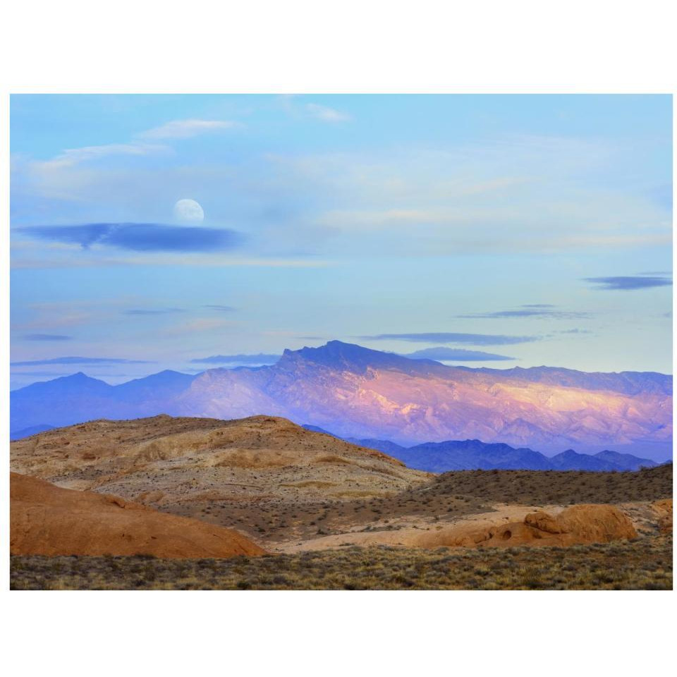 Sunset lighting up mountains under a full moon in Valley of Fire State Park, Mojave Desert, Nevada-Paper Art-34&quotx26"