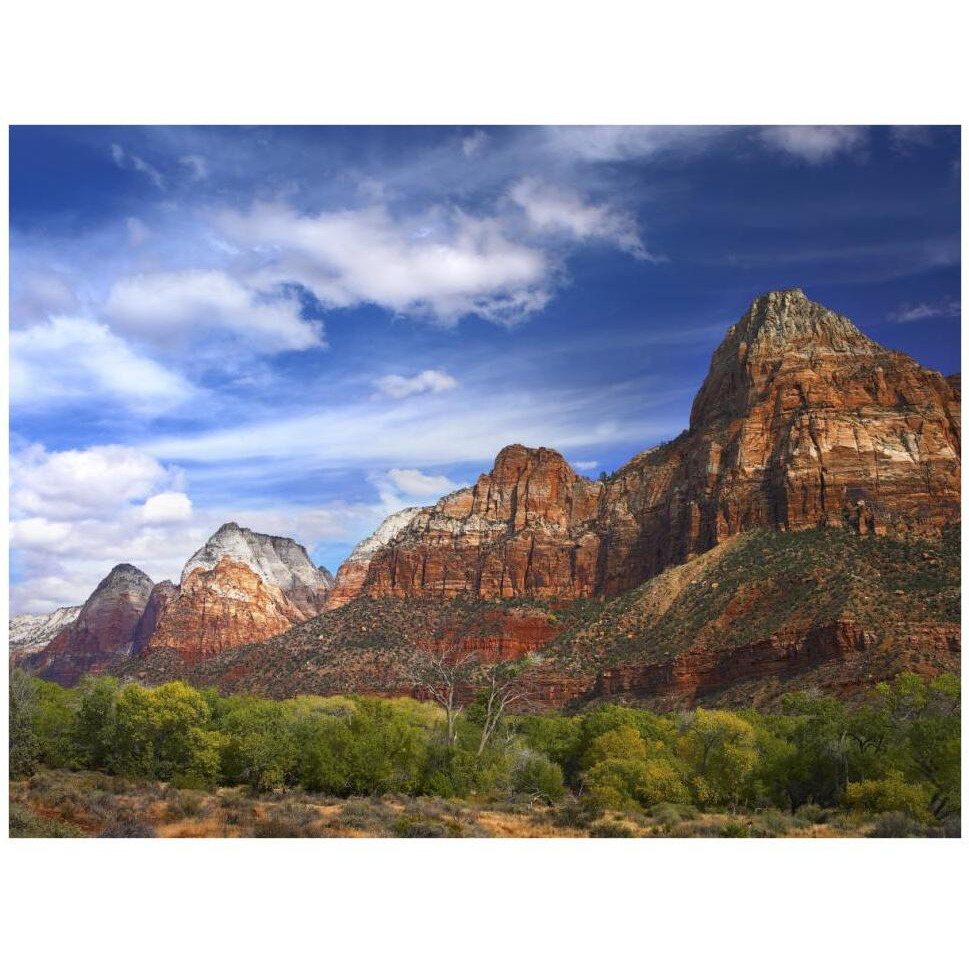 The Watchman, outcropping near south entrance of Zion National Park, cottonwoods in foreground, Utah-Paper Art-42&quotx32"