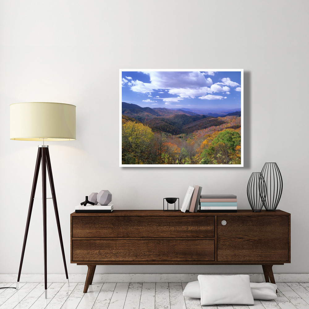 Deciduous forest in the autumn from Thunderstruck Ridge Overlook, Blue Ridge Parkway, North Carolina-Paper Art-50&quotx38"