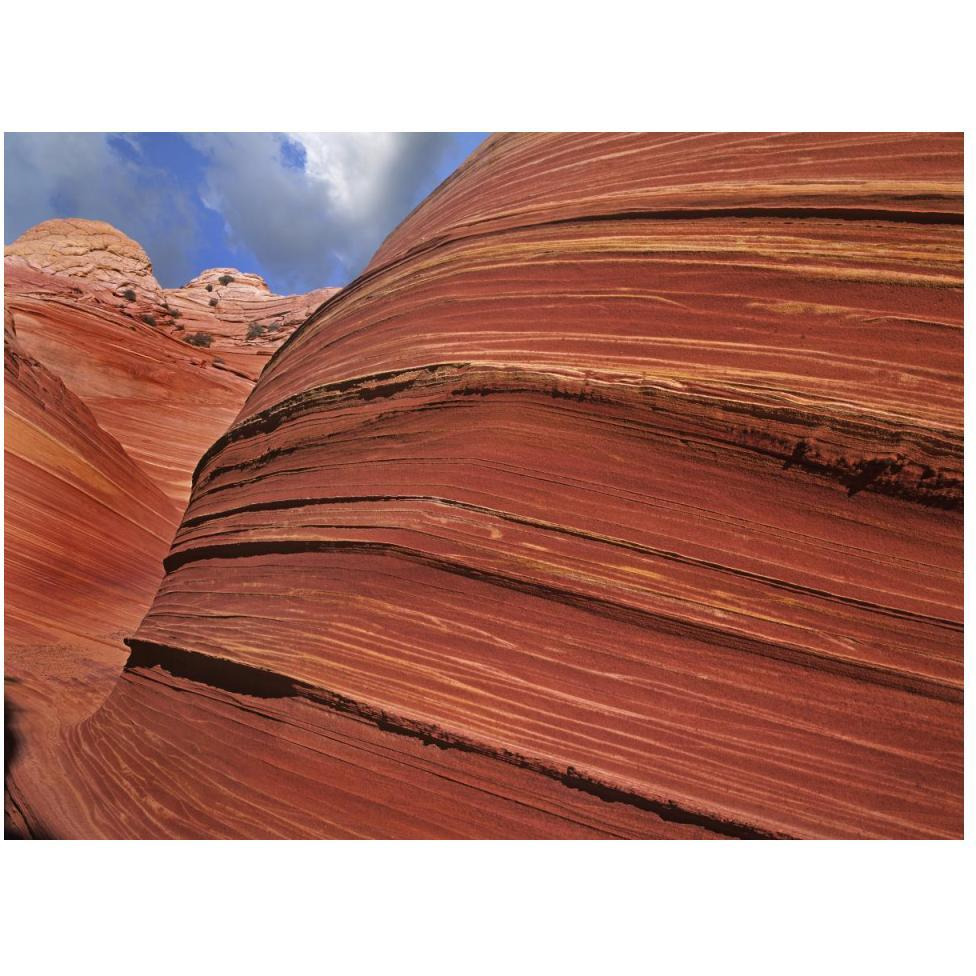 Detail of The Wave, a Navajo sandstone formation in Paria Canyon-Vermilion Cliffs Wilderness, Arizona-Paper Art-50&quotx38"