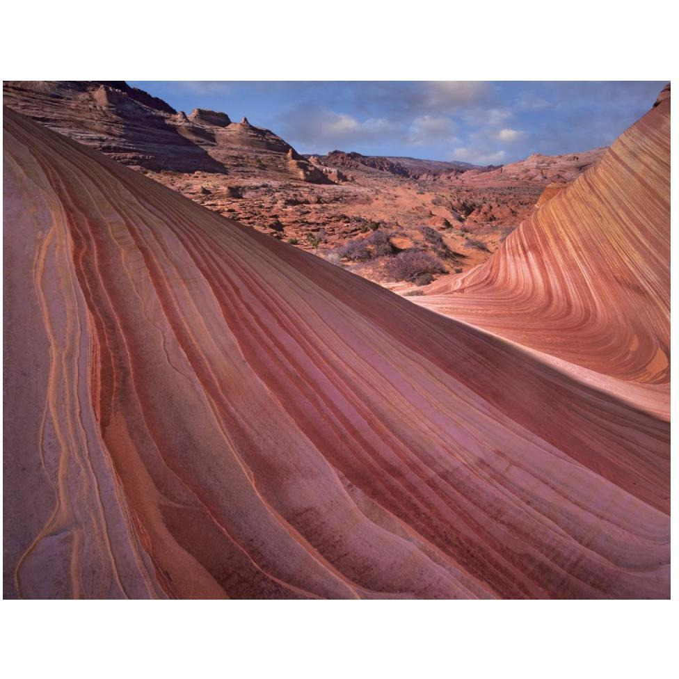 Detail of The Wave, a Navajo sandstone formation in Paria Canyon-Vermilion Cliffs Wilderness, Arizona-Paper Art-50&quotx38"