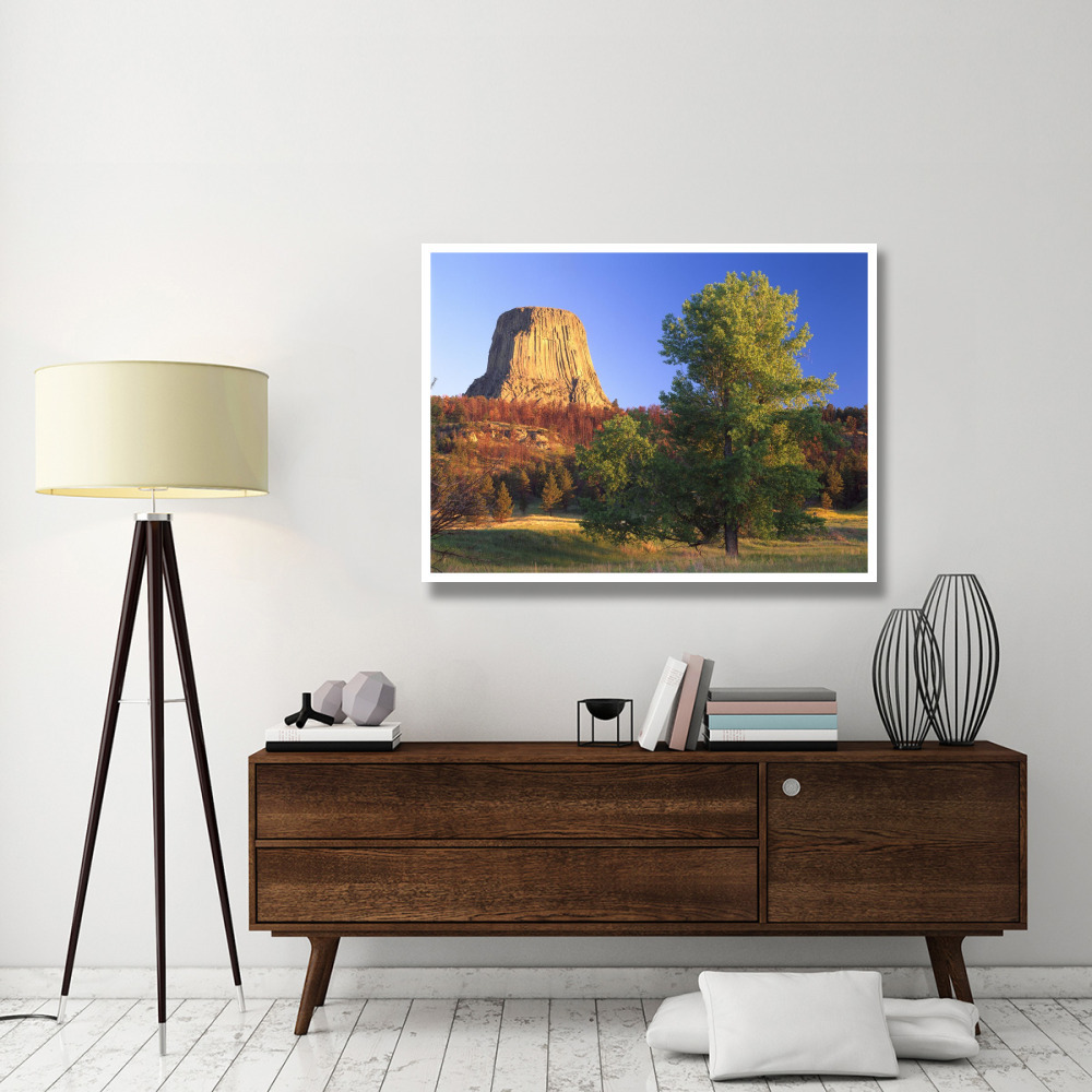 Devil's Tower National Monument showing famous basalt tower, sacred site for Native Americans, Wyoming-Paper Art-50&quotx38"