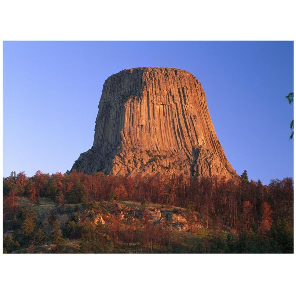 Devil's Tower National Monument showing famous basalt tower, sacred site for Native Americans, Wyoming-Paper Art-42&quotx32"