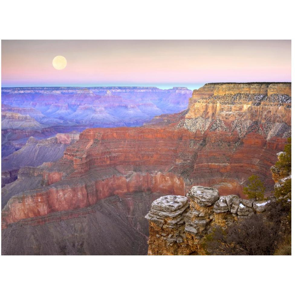 Full moon over the Grand Canyon at sunset as seen from Pima Point, Grand Canyon National Park, Arizona-Paper Art-50&quotx38"