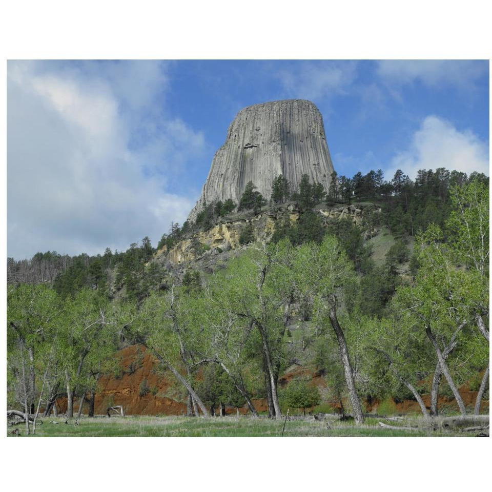 Devil's Tower National Monument showing famous basalt tower, sacred site for Native Americans, Wyoming-Paper Art-18&quotx14"