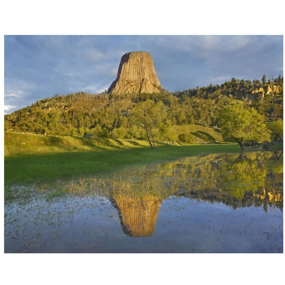 Devil's Tower National Monument showing famous basalt tower, sacred site for Native Americans, Wyoming-Paper Art-34&quotx26"