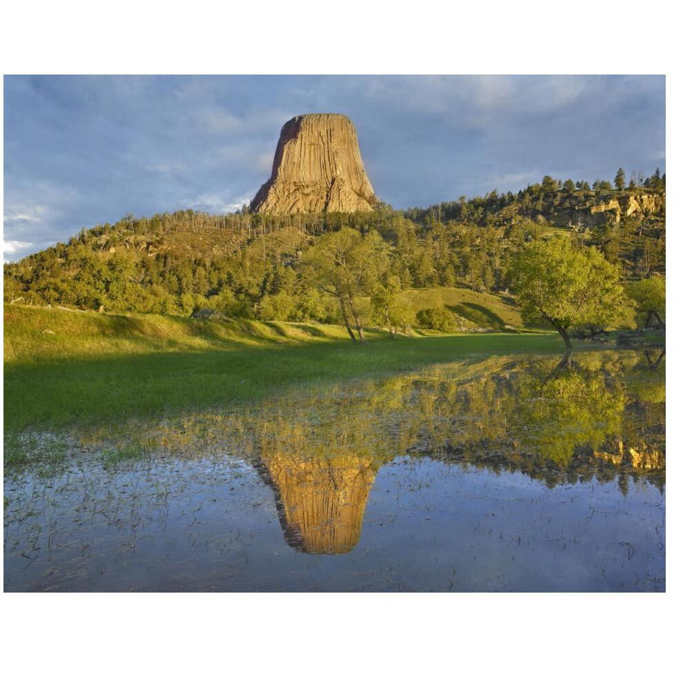 Devil's Tower National Monument showing famous basalt tower, sacred site for Native Americans, Wyoming-Paper Art-50&quotx38"