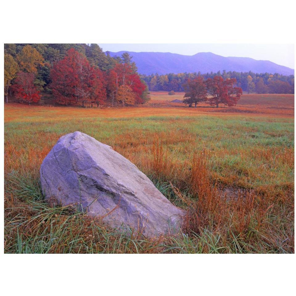 Boulder and autumn colored deciduous forest, Cades Cove, Great Smoky Mountains National Park, Tennessee-Paper Art-18&quotx14"