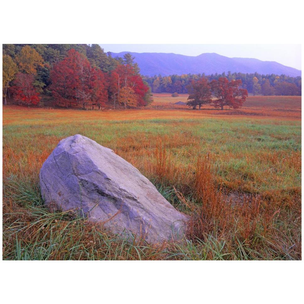 Boulder and autumn colored deciduous forest, Cades Cove, Great Smoky Mountains National Park, Tennessee-Paper Art-42&quotx32"