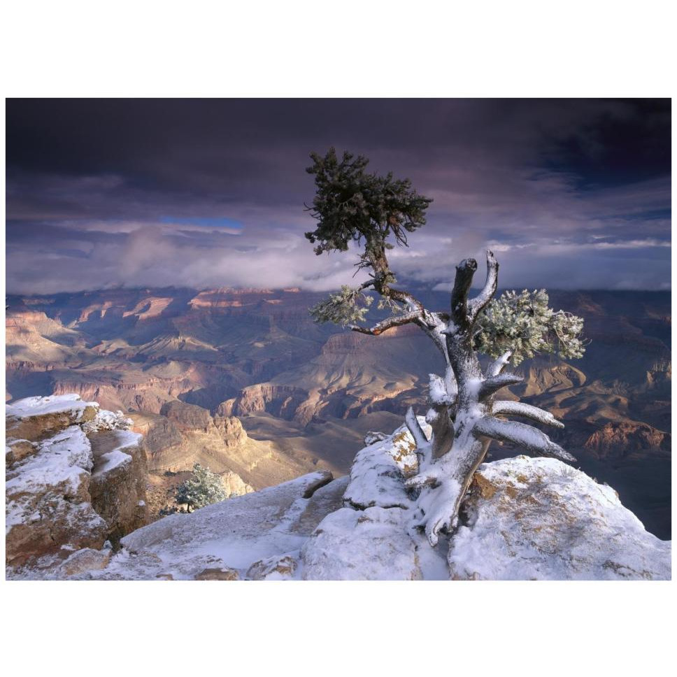 South Rim of Grand Canyon with a dusting of snow seen from Yaki Point, Grand Canyon National Park, Arizona-Paper Art-42&quotx32"