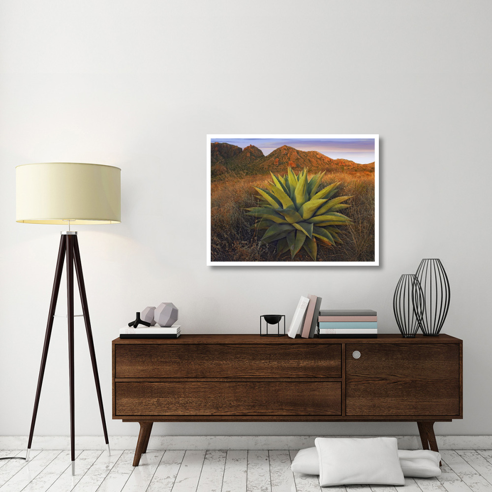 Agave plants and Chisos Mountains seen from Chisos Basin, Big Bend National Park, Chihuahuan Desert, Texas-Paper Art-42&quotx32"