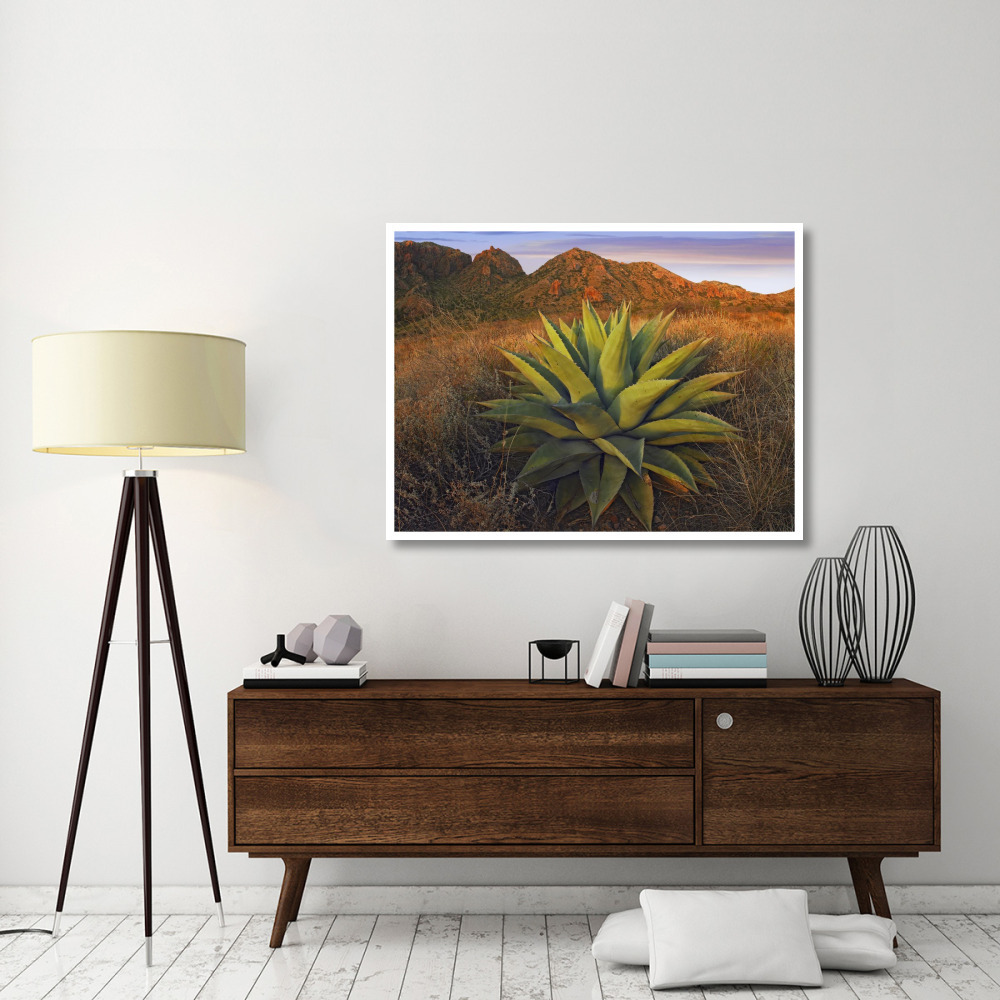 Agave plants and Chisos Mountains seen from Chisos Basin, Big Bend National Park, Chihuahuan Desert, Texas-Paper Art-50&quotx38"