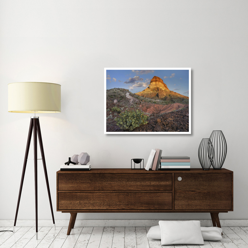 Prickly Pear Cactus at Cerro Castellan, Chihuahuan Desert, Big Bend National Park, Chihuahuan Desert, Texas-Paper Art-42&quotx32"