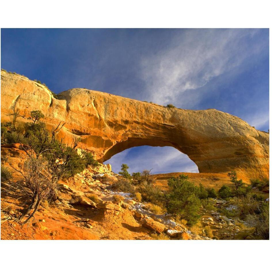 Wilson Arch with a span of 91 feet and height of 46 feet, made of entrada sandstone, Utah-Paper Art-30&quotx24"